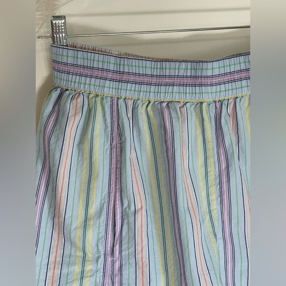 FREE PEOPE Light Blue Multicolor Striped Shorts Size Medium - Picture 3 of 7